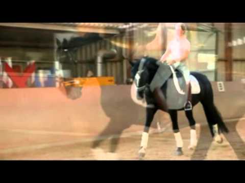 HOPE THE BEST  5j.Rappwallach Hohenstein x Wolkentanz