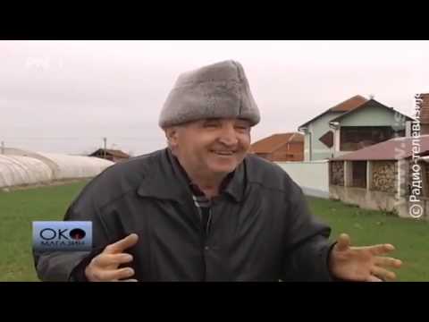 Za budalu je posao razonoda...