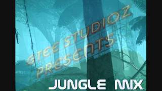 Jungle Studio Mix 1994 - 1997