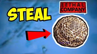 How To Steal Bee Hive Solo In Lethal Company - Full Guide