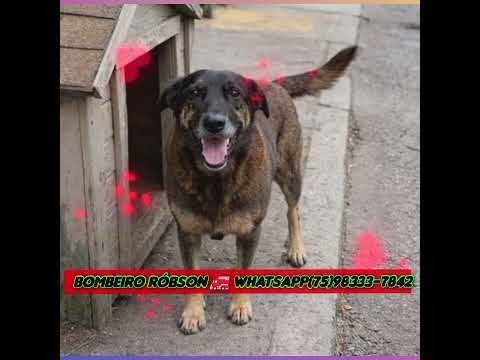 bombeiro Robson Teolândia Bahia