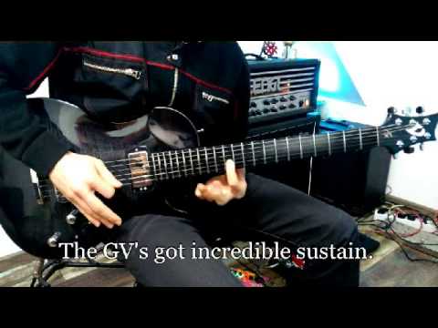 Vigier Guitar Review