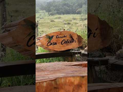 Rainy morning in the Colombian mountains 🌧️​Cozy coffee vibes at Casa Colibrí ☕