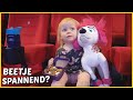 WOLF MAG MEE NAAR DE BiOSCOOP ?( of is het een hond? ?) | Bellinga Vlog #1934