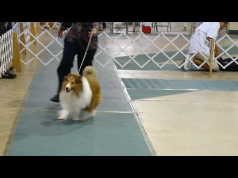 Summerloves One Cool Dude - Fonzie