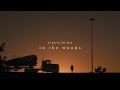 El Perro Del Mar - "In The Woods"(Official Video)