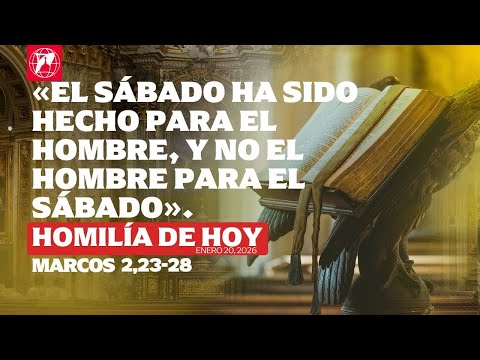 Lecturas y homilía - 20 de enero, 2026 - P. Mark