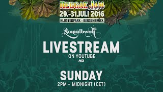 Livestream Reggaejam Festival 2016 Day 3
