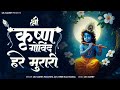 Shri Krishna Govind Hare Murari अच्युतम केशवं कृष्ण दामो�