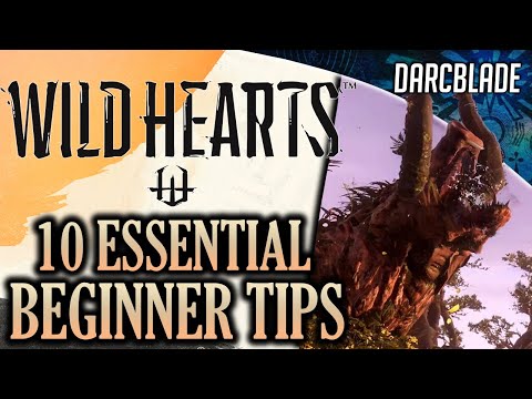 10 ESSENTIAL BEGINNERS TIPS TO WILD HEARTS