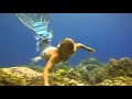 Bryan Ferry - Song to the Siren 