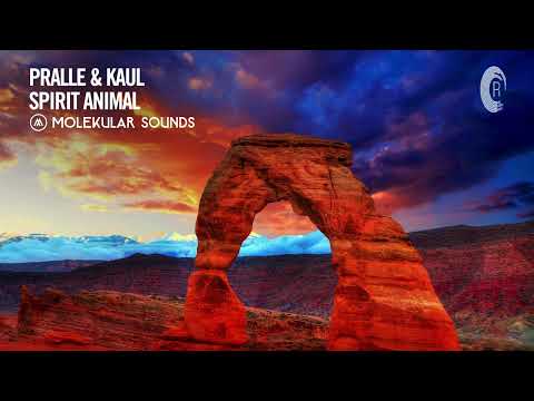 UPLIFTING TRANCE: Pralle & Kaul - Spirit Animal [Molekular Sounds]