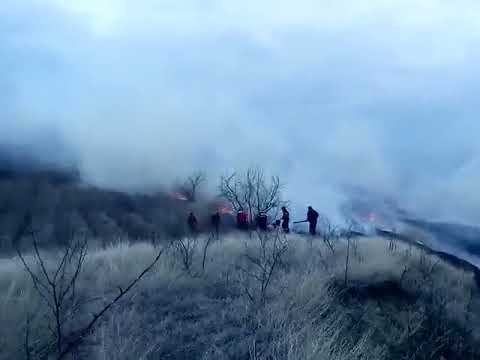 Incendiu vegetatie Stanilesti Husi