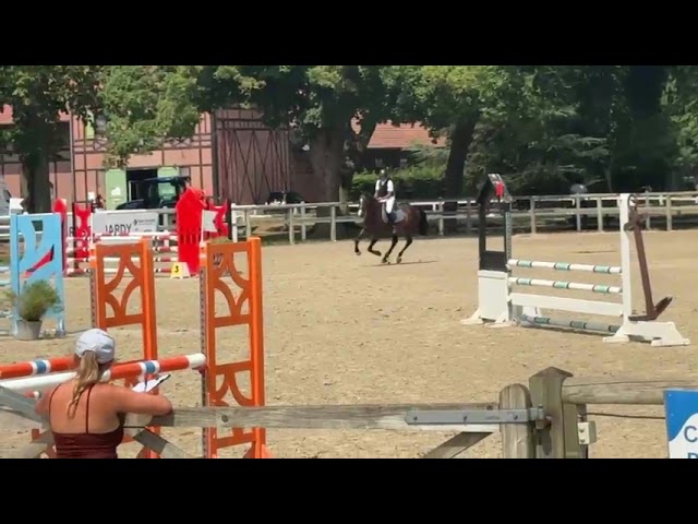 Cheval de sport pour d&eacute;buter en CSO amateur