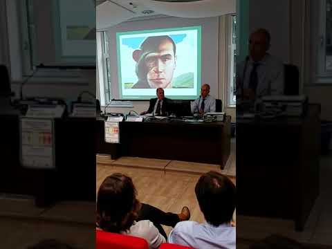 "Ma l'attività fisica fa veramente dimagrire?“ #ViHLAB