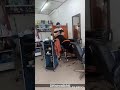 Kucing Comel Kerja Di Salon American Curl Long Hair Abang Lang Dan Adik Jang Gunting Rambut