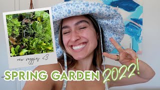 Spring 2022 Garden and Herb Planter: New Urban Rooftop Garden Refresh!