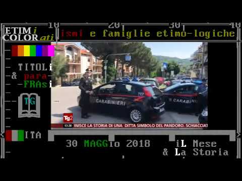 Salerno, San Mauro Cilento 900 ab. - 9 arresti, mazzette, sindaco e... - TG2 30 mag. 2018 corruzione