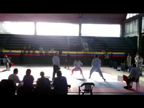 Panamericano Jks 2014