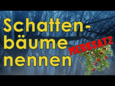 Schattenbäume nennen - Jägerprüfung Merksatz