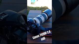 My Canon 70 200 2.8 miii at the beach in Brazil #photography