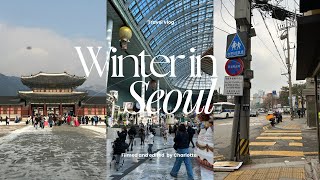 🇰🇷 WINTER IN SEOUL | myeongdong, gyeongbokgung, gangchon rail, nami Island, hongdae, lotte world