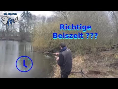 Das kann ich nicht glauben! Was passiert denn hier?