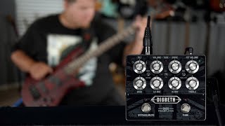 Video thumbnail for Tube Drive and FET in One Preamp Pedal // Laney Digbeth Preamp by The Bass Channel