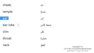 تعلم كلمات اللغة الانجليزية الدرس 37 اعضاء جسم الانسان بالانجليزي الجزء 2