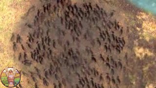 Cette découverte sur Mars a effrayé tous les scientifiques!
