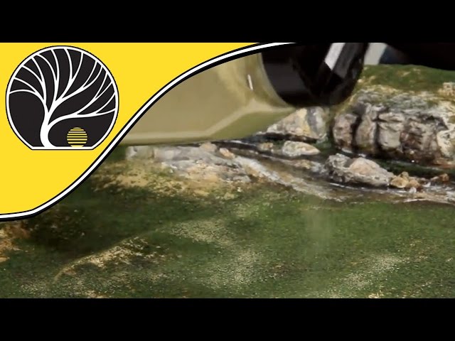 Fine Turf Video
