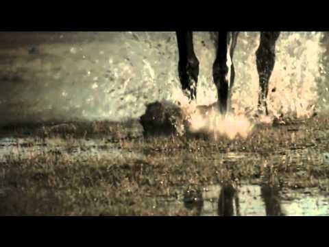 AMADEUS BAND  - NE VERUJE SRCE PAMETI (official video )