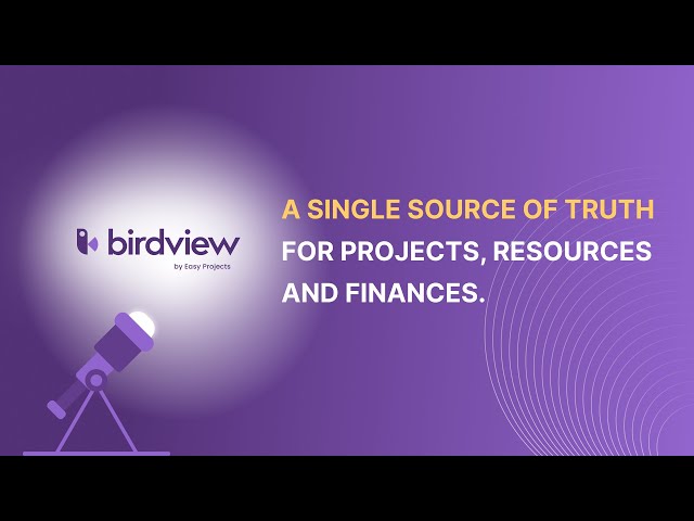 Birdview PSA Pricing, Reviews, & Features in 2022