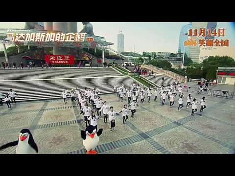 141121 《Flash Mob》