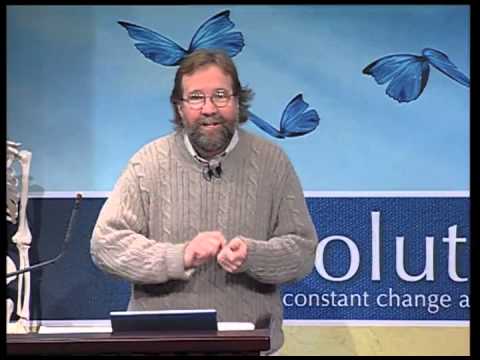 Endless Forms Most Beautiful