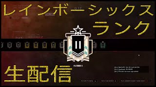 レインボーシックス　ランク生配信