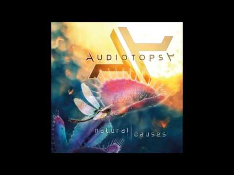 Audiotopsy distorted