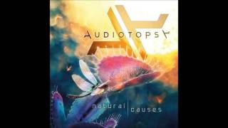 Audiotopsy - Distorted video