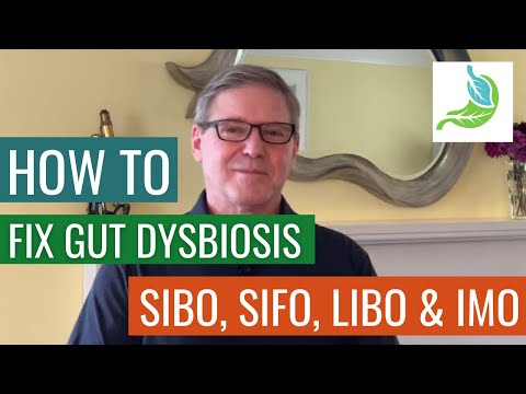How To Fix Gut Dysbiosis, SIBO, SIFO, LIBO & IMO