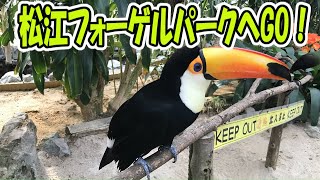 【松江フォーゲルパーク】ふれあえる！とにかくカワイイ！