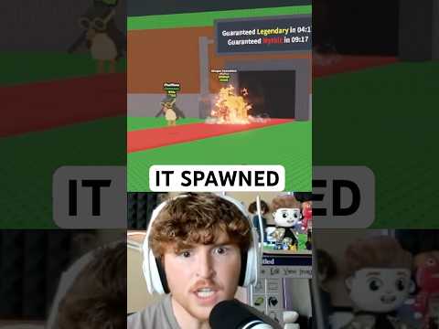 Caylus Gets The DRAGON CANNELONI..