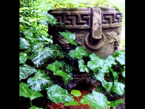 12 SDCF 12 12 1979 Sandy L sings To Be Used Of God