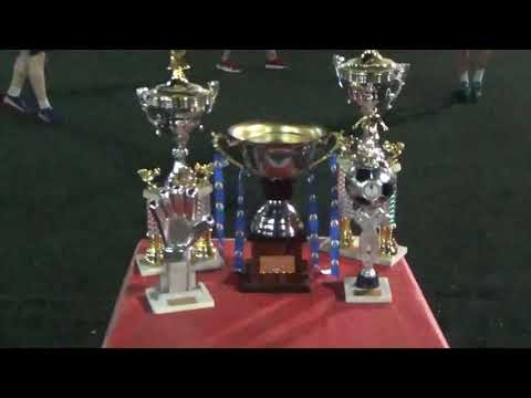 LYONLEAGUE F6 FINAL CONSAGRADOS VS LOS CABEZITAS PARTE 1