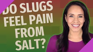 Do slugs feel pain from salt?