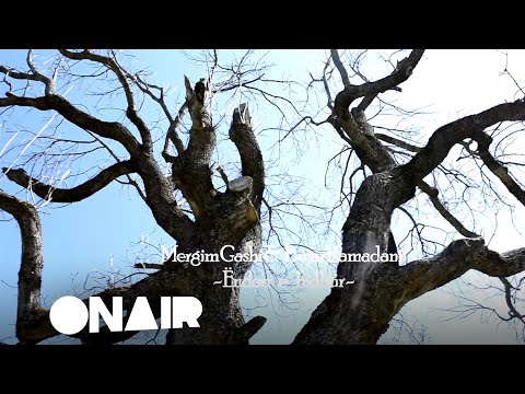 Mergim Gashi & Bujar Ramadani - Ënderr e hidhur