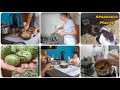 NOVA ROTINA MORANDO NO SÍTIO UM DIFERENCIADO PIRÃO PARA O ALMOÇO