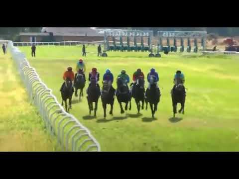 PREMIO SHEIKH ZAYED BIN SULTAN AL NAHYAN CUP - LISTED - CHILIVANI RACECOURSE - 19/09/2021