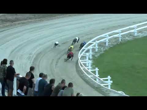 2022.08.05. 03. futam - Augusztusi Trófea