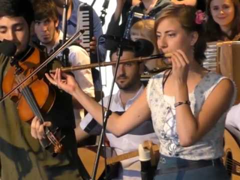 Ethno Sweden 2017, concert at Rättviksparken July 6