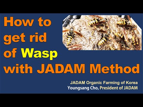 February 2023 JADAM Lecture tour in the USA